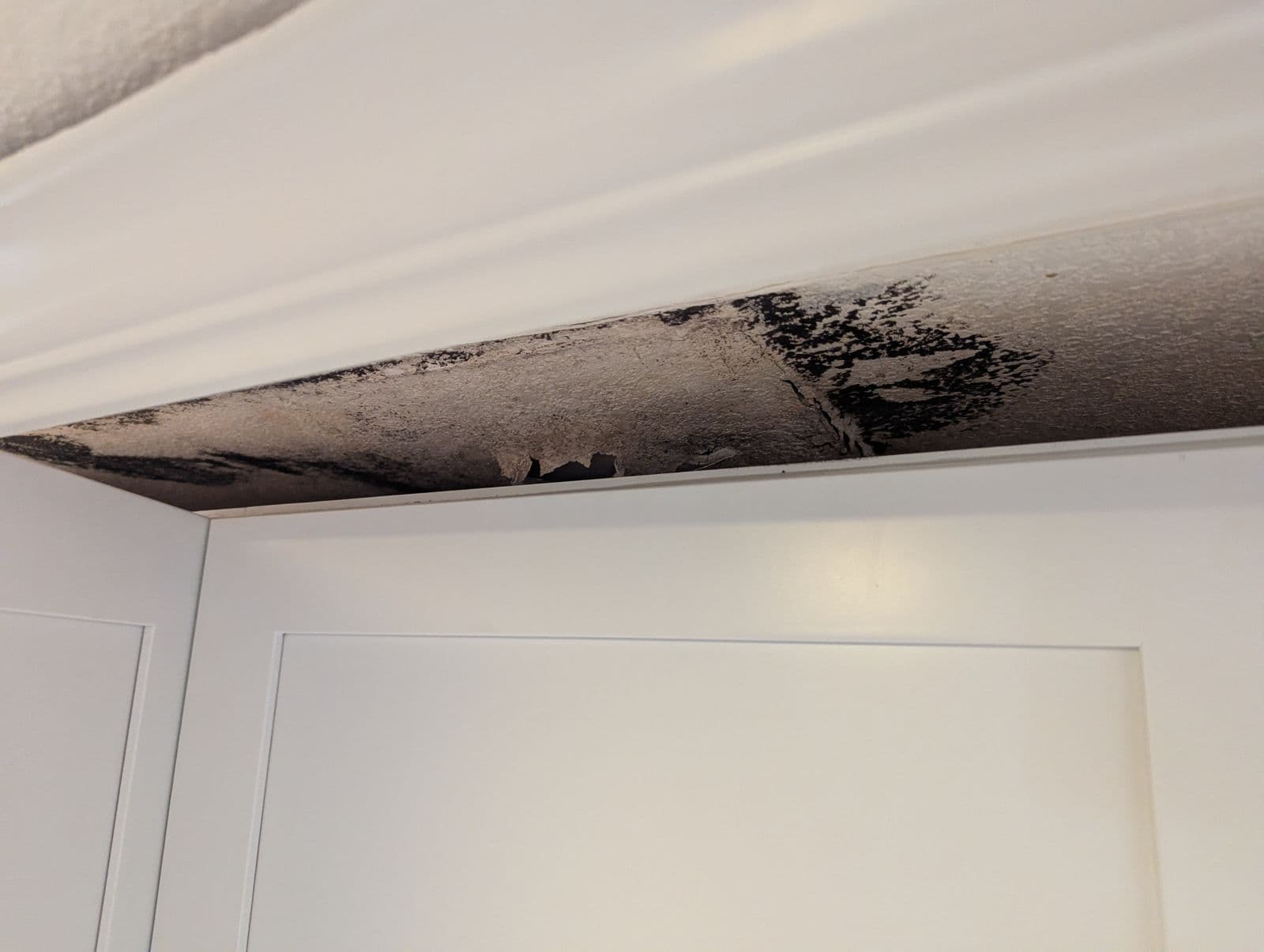 Water-stained kitchen ceiling below an upstairs bathroom before repair in Fort Collins.